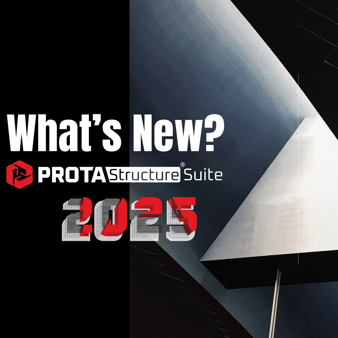 ProtaStructure Suite 2025 – Nuevas funciones