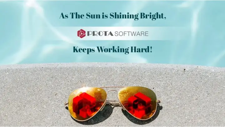 Un été studieux chez Prota Software
