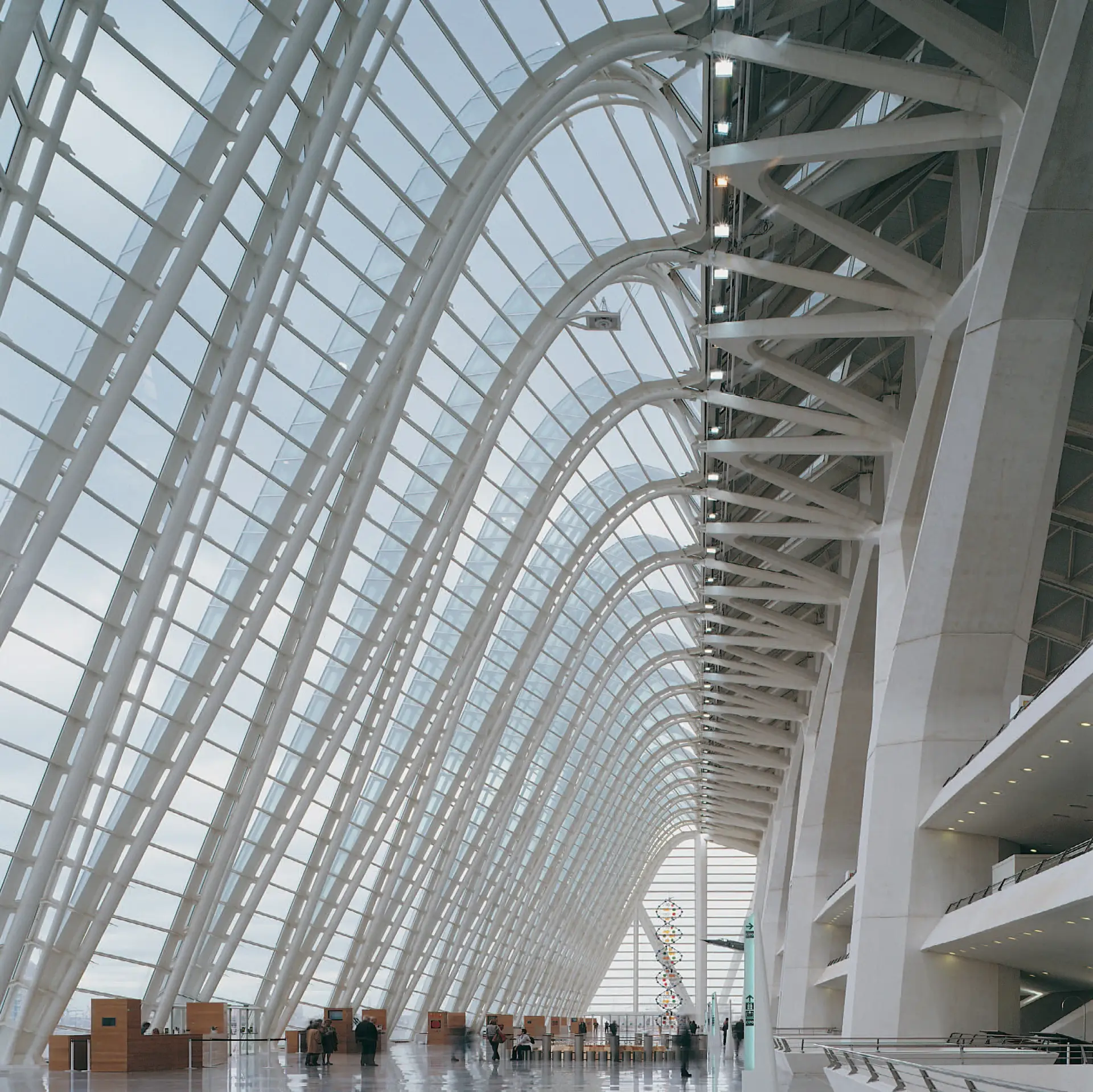 Space Trusses in Santiago Calatrava's Work 