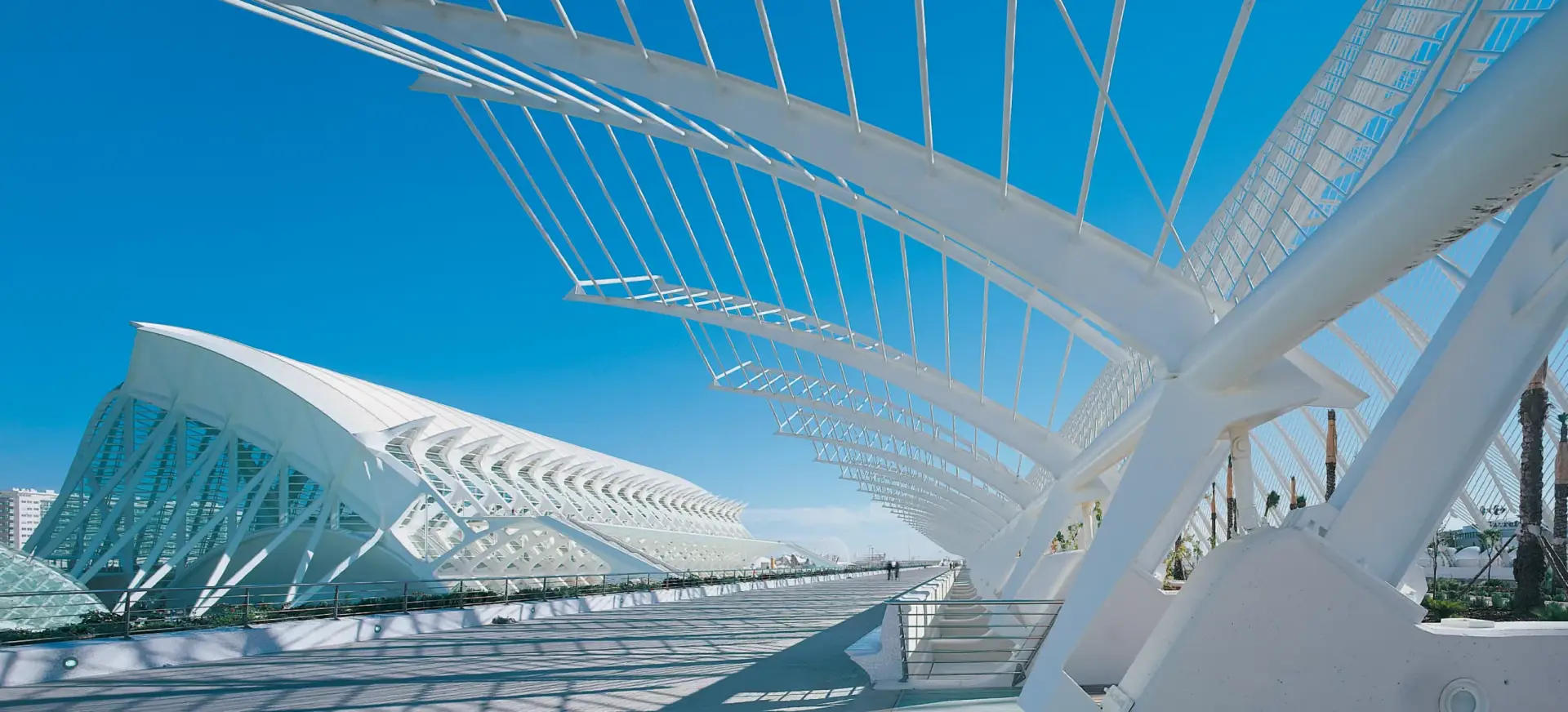 Science Museum Valencia-Santiago Calatrava